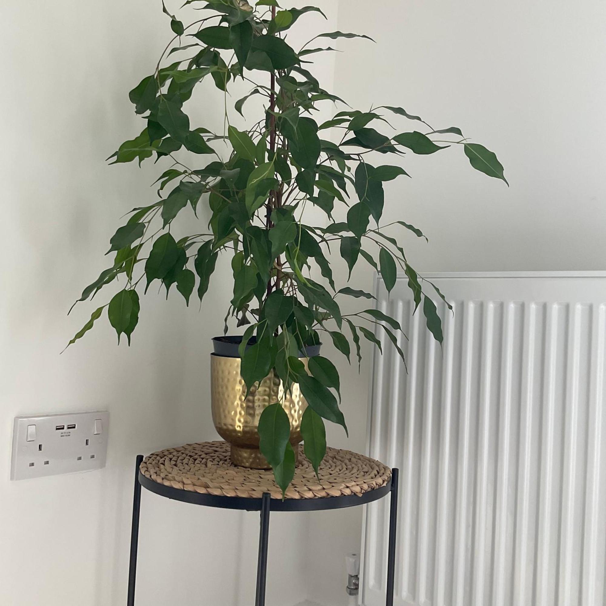 The Parkes A Stylish 3Br House, 5 Mins From Central Birmingham Close To The Edgbaston Stadium, The Hippodrome, Uob, Aston And Bcu, China Town, Kings Heath Bhx Airport And Much More المظهر الخارجي الصورة